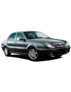 VETRINO RETROVISORE DX ARGENTO LANCIA LYBRA