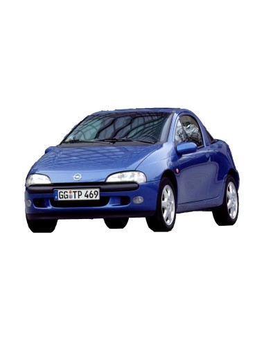VETRINO RETROVISORE DX TIGRA 94-03