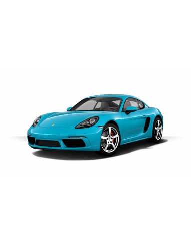 PARABREZZA INC.VCF+SEN.+L.D.CAYMAN 13 in poi