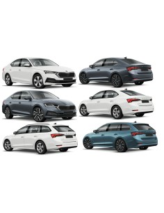 VETRINO CPIASTRA RET.SX EL.OCTAVIA 2020 in poi 2