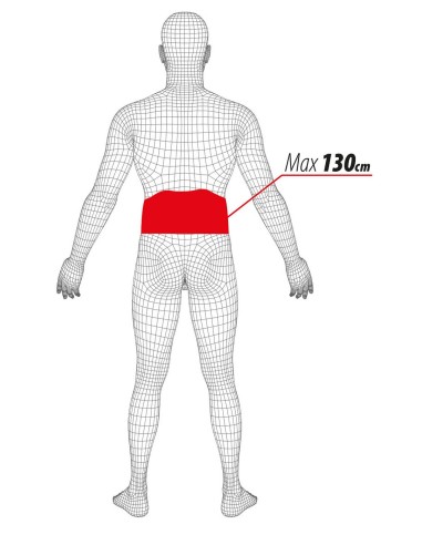 T-Maxter Back, fascia elastica lombare