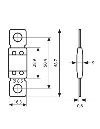 FUSIBILE MAXI+ 80A