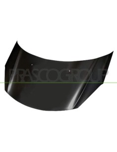 COFANO CITROEN - DS3 - MOD. 03/09 - CI3243100 PRASCO
