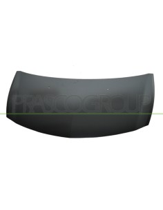 COFANO RENAULT - CLIO - MOD. 09/09 - 08/12 RN3273100 PRASCO