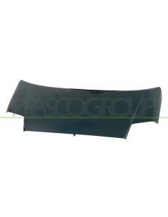 COFANO CITROEN - C2 - MOD. 01/03 - 12/07 CI3043100 PRASCO