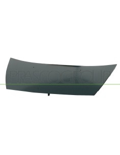 COFANO CITROEN - C3 - MOD. 04/02 - 09/05 CI3203100 PRASCO