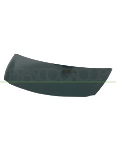 COFANO RENAULT - CLIO - MOD. 09/05 - 08/09 RN3253100 PRASCO