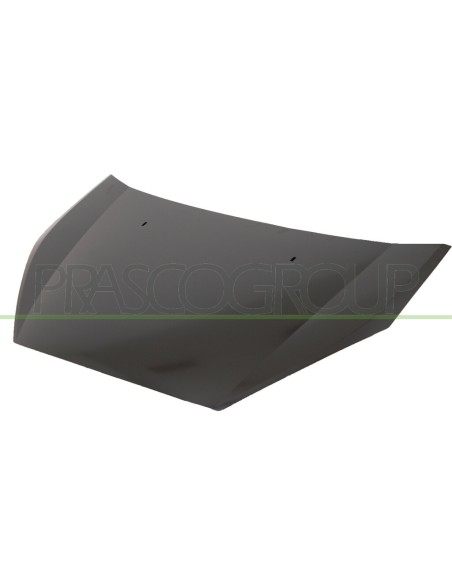 COFANO FORD - S-MAX - MOD. 12/06 - 12/09 FD7303100 PRASCO