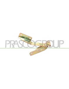 CERNIERA DESTRA COFANO FORD FOCUS Mod. 11-01 - 02-05