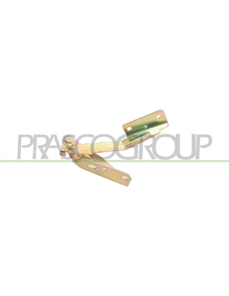 CERNIERA SINISTRA COFANO FORD FOCUS Mod. 11-01 - 02-05
