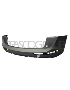 PARAURTI POSTERIORE SUPERIORE CON PRIMER AUDI - Q