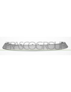 MODANATURA PARAURTI ANTERIORE CENTRALE INFERIORE ARGENTO AUDI A3 Mod. 07-08 - 08-12