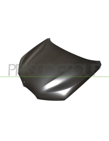 COFANO BMW X1 F48 Mod. 08-15 - 09-19