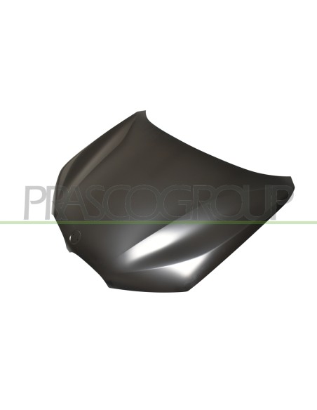 COFANO BMW X1 F48 Mod. 08-15 - 09-19