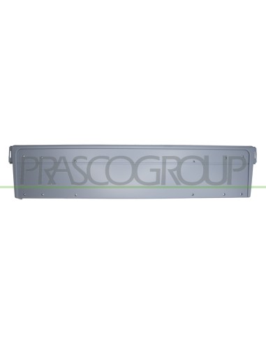 PORTATARGA ANTERIORE CON PRIMER BMW 5 SERIES E39 Mod. 09-00 - 06-03