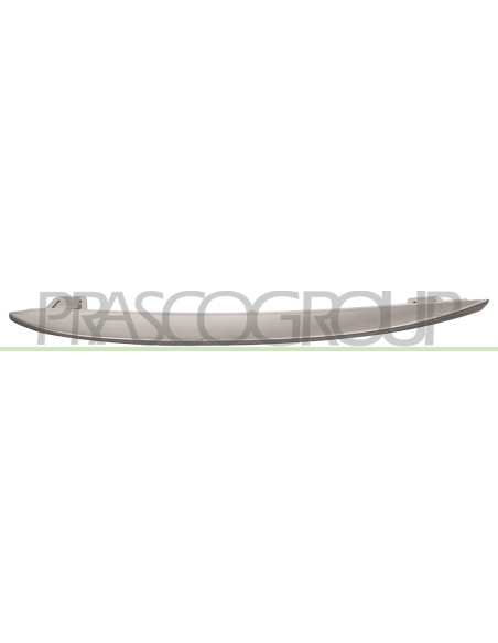 MODANATURA SINISTRA GRIGLIA RADIATORE VERNICIATA ARGENTO BMW 5 SERIES F10-F11 Mod. 04-10 - 06-13