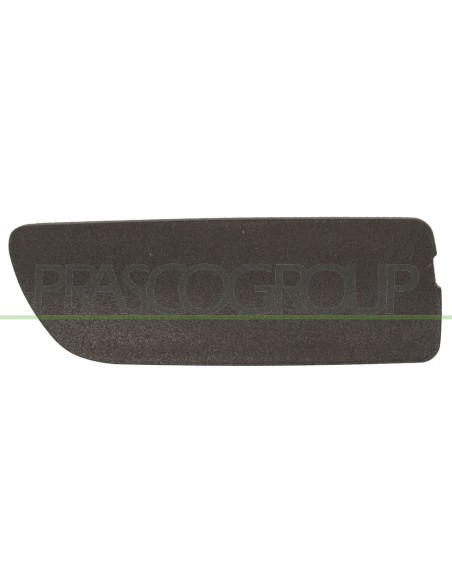 COPRI GANCIO TRAINO PARAURTI ANTERIORE SINISTRO CON PRIMER BMW X5 E53 Mod. 05-00 - 12-06