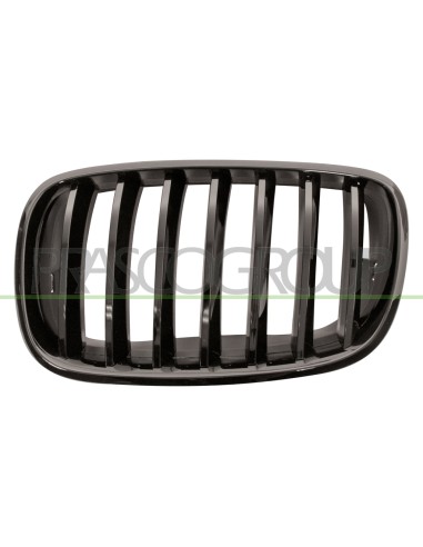 GRIGLIA RADIATORE SINISTRA NERA LUCIDA BMW X6 E71 M TECH Mod. 02-07 - 06-14