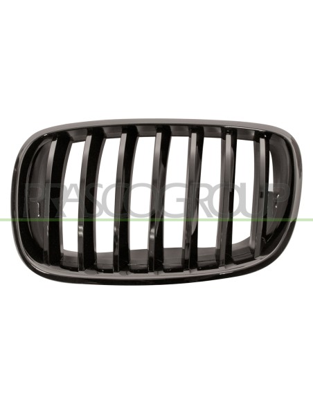 GRIGLIA RADIATORE SINISTRA NERA LUCIDA BMW X6 E71 M TECH Mod. 02-07 - 06-14