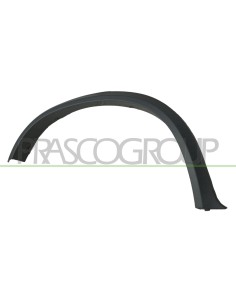 PARAFANGHINO POSTERIORE DESTRO CON PRIMER BMW X5 E70N M TECH Mod. 05-10 - 05-13