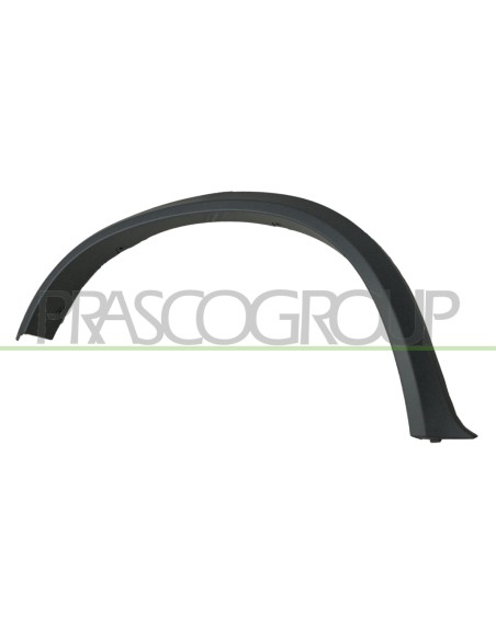 PARAFANGHINO POSTERIORE DESTRO CON PRIMER BMW X5 E70N M TECH Mod. 05-10 - 05-13
