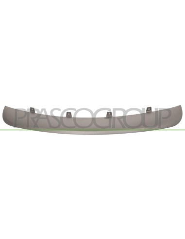 MODANATURA PARAURTI ANTERIORE CENTRALE GRIGIA CROMATA BMW X5 E70N Mod. 04-10 - 05-13