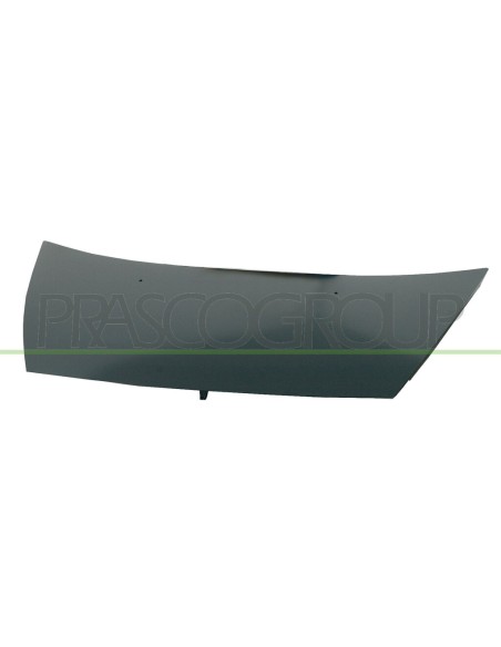 COFANO CITROEN - C3 - MOD. 04-02 - 09-05