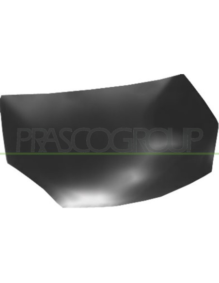 COFANO DACIA SANDERO STEPWAY Mod. 01-09 - 12-12