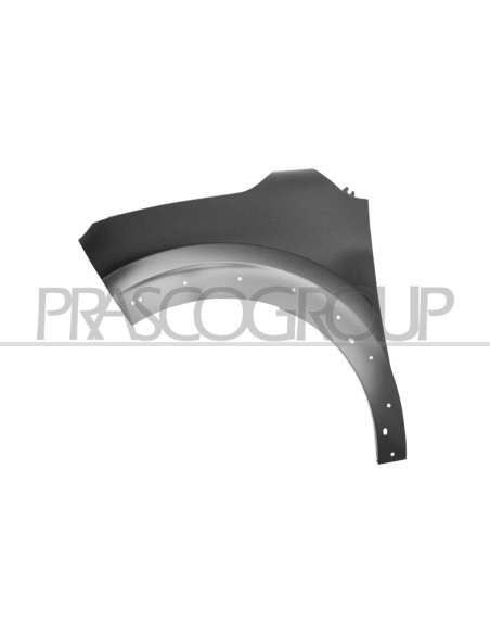 PARAFANGO ANTERIORE SINISTRO CON FORI PARAFANGHINO CITROEN C3 Mod. 09-16 - 09-20