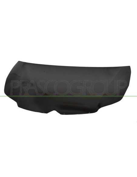 COFANO CITROEN C4 Mod. 10-08 - 10-10