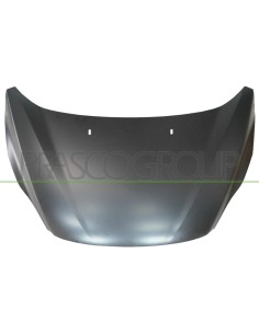 COFANO ANTER C-MAX 10 in poi