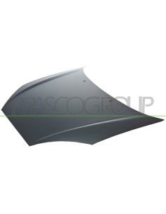 COFANO FORD FOCUS Mod. 11-01 - 02-05
