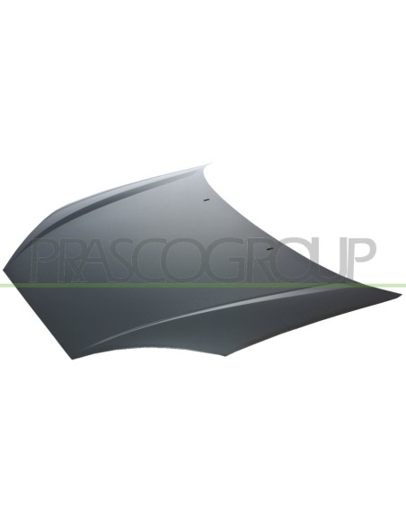 COFANO FORD FOCUS Mod. 11-01 - 02-05