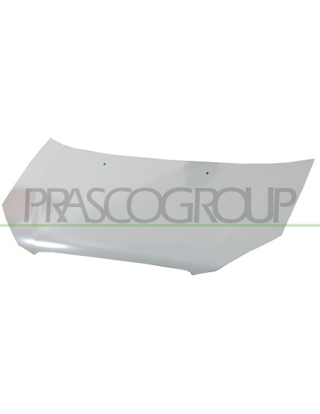 COFANO HYUNDAI GETZ Mod. 02-05 - 12-08