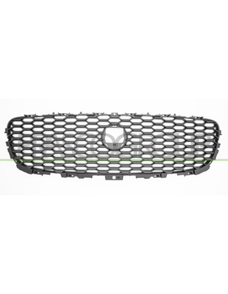 GRIGLIA RADIATORE NERA CON FORO TELECAMERA JAGUAR E PACE Mod. 07-17