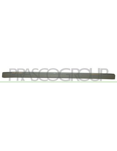 MODANATURA PARAURTI POSTERIORE CENTRALE CON PROFILO CROMATO SENZA FORI PDC MERCEDES E CLASS (W211) Mod. 07-02 - 04-07