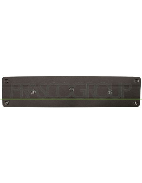 PORTATARGA ANTERIORE MERCEDES S CLASS (W220) Mod. 09-02 - 09-05
