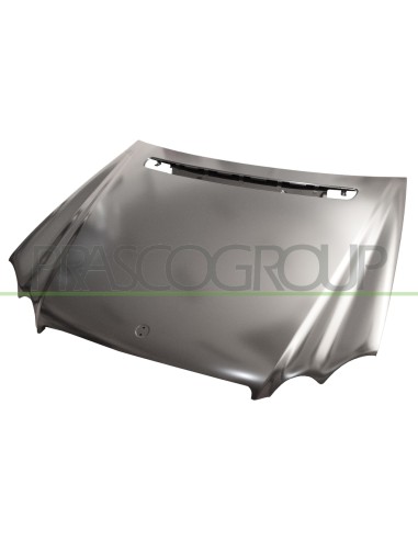 COFANO ACCIAIO MERCEDES CLK (W209) Mod. 05-02 - 10-09