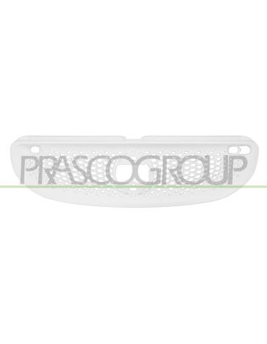 GRIGLIA RADIATORE CENTRALE ABS