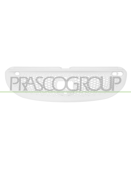 GRIGLIA RADIATORE CENTRALE ABS