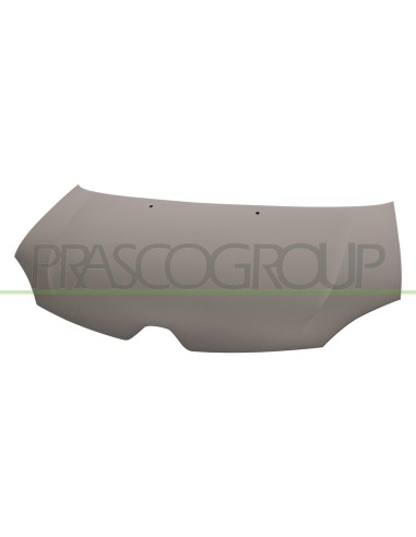 COFANO CON PRIMER PLASTICA RENAULT TWINGO Mod. 09-14 - 02-19