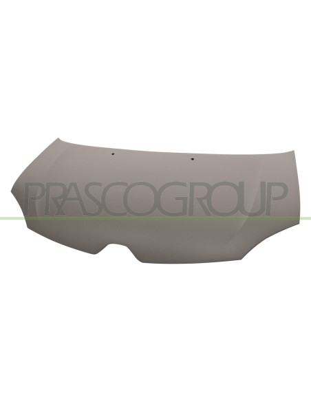 COFANO CON PRIMER PLASTICA RENAULT TWINGO Mod. 09-14 - 02-19