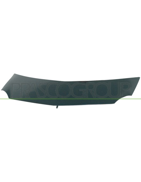 COFANO RENAULT MODUS Mod. 09-04 - 12-07