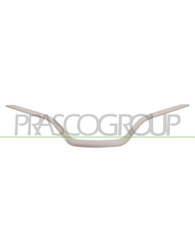 MODANATURA GRIGLIA RADIATORE INFERIORE ABS RENAULT CAPTUR Mod. 01-13 - 02-17