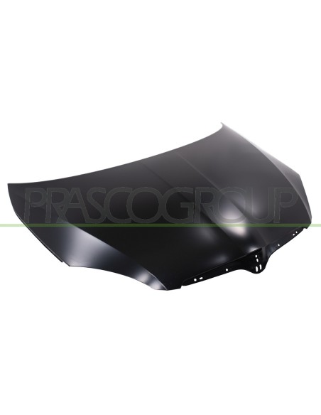 COFANO SKODA ROOMSTER Mod. 09-06 - 02-10
