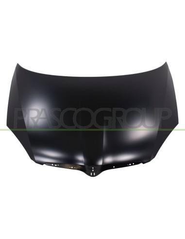 COFANO SKODA ROOMSTER Mod. 09-06 - 02-10