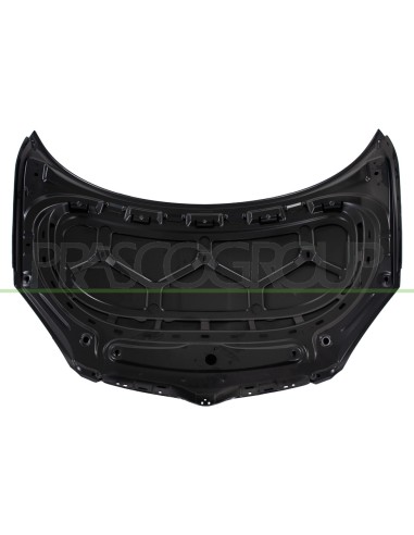 COFANO SKODA ROOMSTER Mod. 09-06 - 02-10