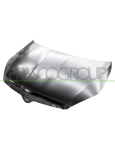 COFANO SKODA ROOMSTER Mod. 03-10 - 10-15