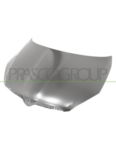 COFANO SKODA ROOMSTER Mod. 03-10 - 10-15