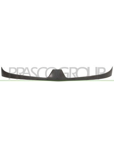 GRIGLIA RADIATORE ESTERNA MOD. 12-04 in poi RENAULT KANGOO Mod. 05-03 - 12-07
